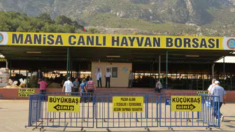Canlı Hayvan Borsası Kurbanlık Pazarı açıldı