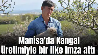 Manisa'da Kangal üretimiyle bir ilke imza attı