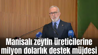 Manisalı zeytin üreticilerine milyonluk destek müjdesi