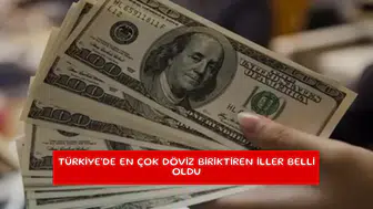 Türkiye'de en çok döviz biriktiren iller belli oldu