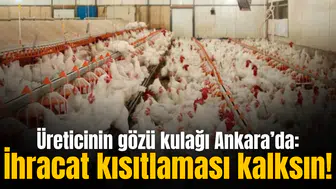 Üreticinin gözü kulağı Ankara’da: İhracat kısıtlaması kalksın!