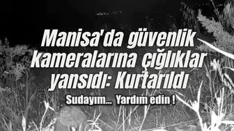 Manisa'da güvenlik kameralarına çığlıklar yansıdı: Kurtarıldı