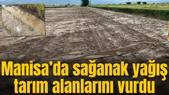 Manisa'da tarım alanları zarar gördü