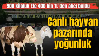 MANİSA’DA CANLI HAYVAN PAZARINDA YOĞUNLUK