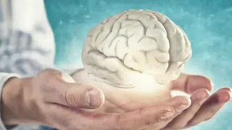 Alzheimer Riskine Karşı Dikkat Çeken Besin: Düzenli Tüketimi Hafızayı Destekleyor!