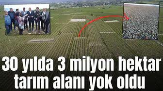 30 yılda 3 milyon tarım alanı yok oldu