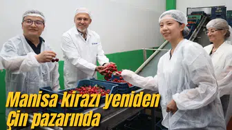 MANİSA KİRAZI YENİDEN ÇİN PAZARINDA