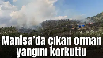 Üçpınar’da çıkan orman yangını korkuttu