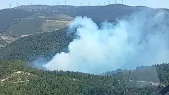 Manisa'da orman yangını