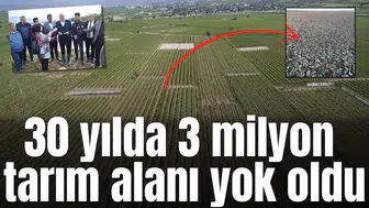 30 yılda 3 milyon tarım alanı yok oldu