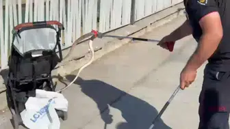 Ağaçtan bebek arabasına yılan düştü