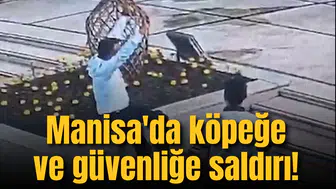 Manisa'da köpeğe ve güvenliğe saldırı!