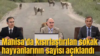 Manisa'da kısırlaştırılan sokak hayvanlarının sayısı açıklandı