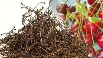 Kiraz Sapı Ne İşe Yarar? Kiraz Sapı Çayı Nasıl Hazırlanır, Evde Nasıl Kurutulur?