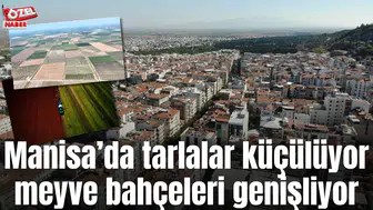Manisa’da tarlalar küçülüyor meyve bahçeleri genişliyor