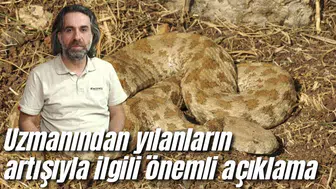 Uzmanından yılanların artışıyla ilgili önemli açıklama