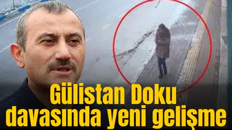 Gülistan Doku davasında yeni gelişme