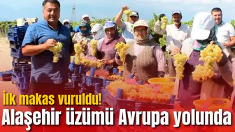 İlk makas vuruldu! Alaşehir üzümü Avrupa yolunda