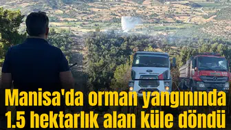 Manisa'da orman yangınında 1.5 hektarlık alan küle döndü