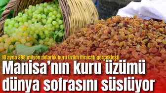 Manisa’nın kuru üzümü dünya sofrasını süslüyor