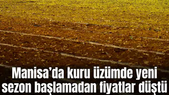 Kuru üzümde yeni sezon başlamadan fiyatlar düştü