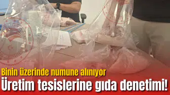 Üretim tesislerine gıda denetimi! Binin üzerinde numune alınıyor