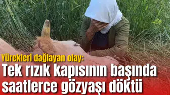 Yürekleri dağlayan olay: Tek rızık kapısının başında saatlerce gözyaşı döktü