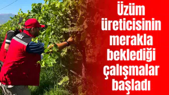 Tarım İl Müdürlüğünden rekolte çalışması