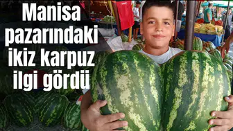 Manisa pazarındaki ikiz karpuz ilgi gördü