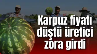 KARPUZ FİYATI DÜŞTÜ ÜRETİCİ ZORA GİRDİ