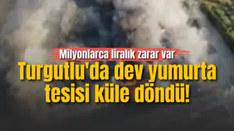 Turgutlu'da dev yumurta tesisi küle döndü! Milyonlarca liralık zarar var