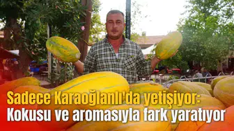 Sadece Karaoğlanlı'da yetişiyor: Kokusu ve aromasıyla fark yaratıyor
