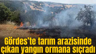 Gördeste korkutan orman yangını