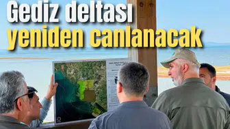 Gediz deltası yeniden canlanacak