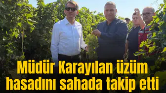 Müdür Karayılan üzüm hasadını sahada takip etti