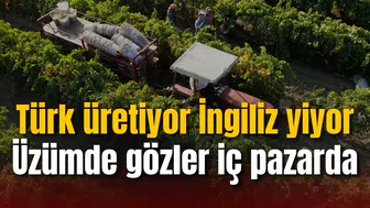 Türk üretiyor İngiliz yiyor: Üzümde gözler iç pazarda
