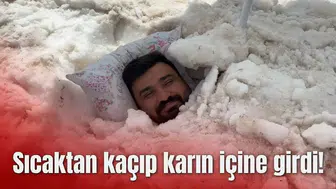 Sıcaktan kaçıp karın içine girdi!