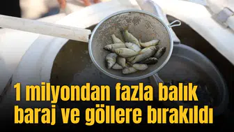 1 milyondan fazla balık baraj ve göllere bırakıldı