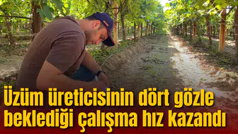 Üzüm üreticisinin dört gözle beklediği çalışma hız kazandı