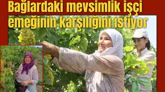 Bağlardaki mevsimlik işçi emeğinin karşılığını istiyor