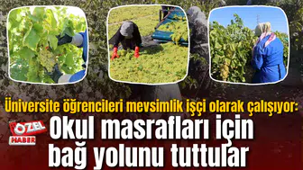 Üniversite öğrencileri mevsimlik işçi olarak çalışıyor: Okul masrafları için bağ yolunu tuttular