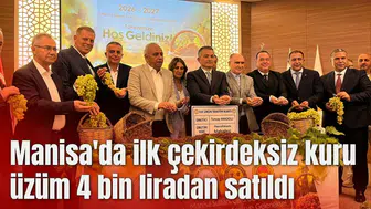 Manisa'da ilk çekirdeksiz kuru üzüm 4 bin liradan satıldı