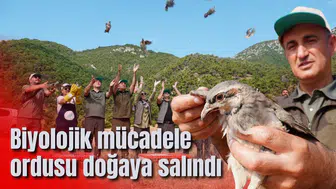 Biyolojik mücadele ordusu doğaya salındı
