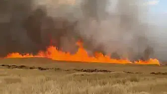 Yangında buğday tarlası zarar gördü