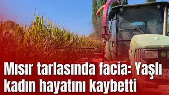 Mısır tarlasında facia: Yaşlı kadın hayatını kaybetti