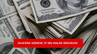 Ülkesine dönene 37 bin dolar ödenecek