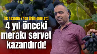 4 yıl önceki merakı servet kazandırdı! İlk hasatta 7 ton ürün elde etti