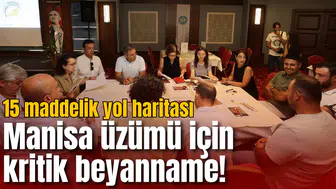 Manisa üzümü için kritik beyanname! 15 maddelik yol haritası