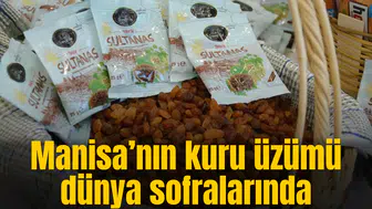 Manisa’nın kuru üzümü dünya sofralarında