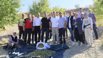 Demirci’de hasat heyecanı: Badem ve Antep fıstığı tarlalarında inceleme
